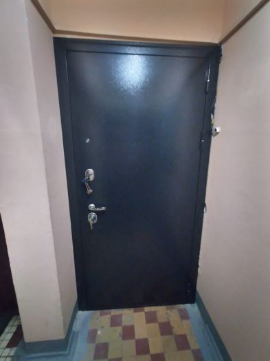 Дверь Входная АСД Спартак Б