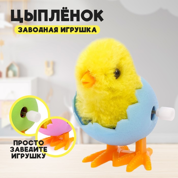 Заводная игрушка «Цыплёнок в яйце», МИКС