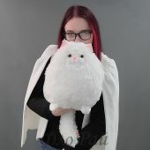 Кот