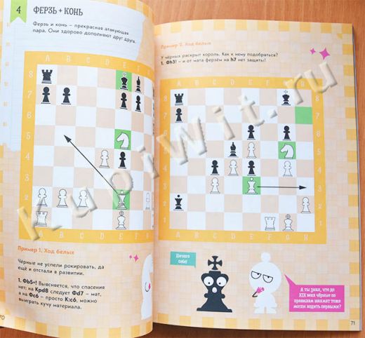 Шахматы. Знаток. 2-й год обучения