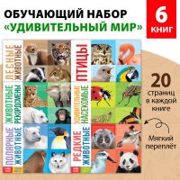 Обучающие книги набор «Удивительный мир» 6 шт. по 20 стр.