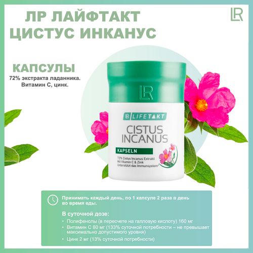 Цистус Инканус Капсулы ЛР ЛАЙФТАКТ