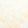 Жидкие Обои Silk Plaster 1 пачка Ecoline 764 / Силк Пластер Эколайн