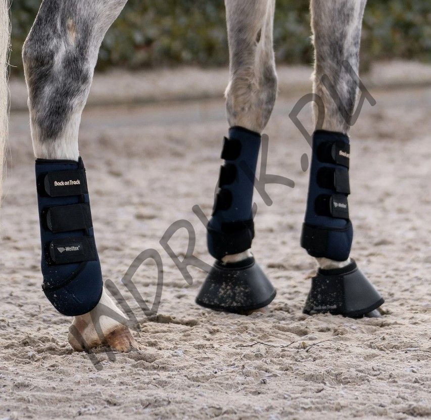 Анатомические ногавки Back on Track Opal зад черные