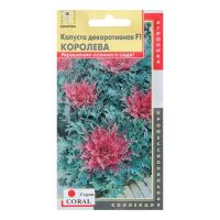 Семена Капуста декор. "Королева", 5 шт