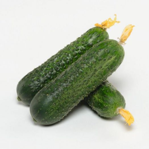 Огурец партенокарпический Амарок F1, 50шт семян