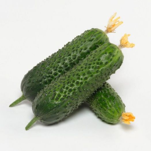 Огурец партенокарпический Анзор F1, 50шт семян