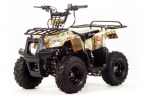 Квадроцикл MOTOLAND 110 RIDER (2021 Г.)