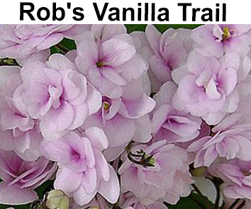 Rob"s Vanilla Trail