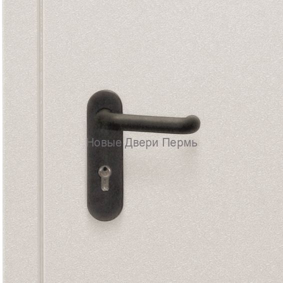 Противопожарная дверь ДП2-60 двустворчатая RAL7035 размер 1250х2050 мм