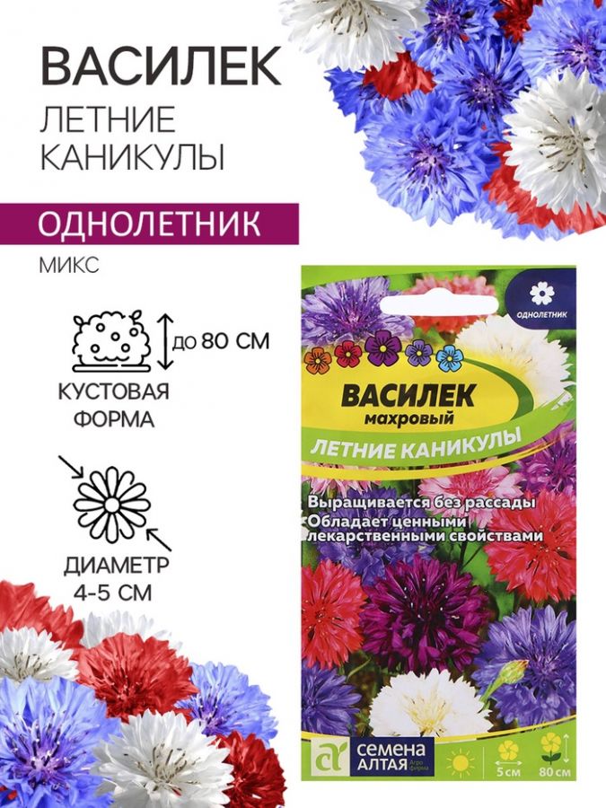 Семена Василек "Летние Каникулы", ц/п,  0,3 гр.