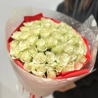 51 белая роза Кения