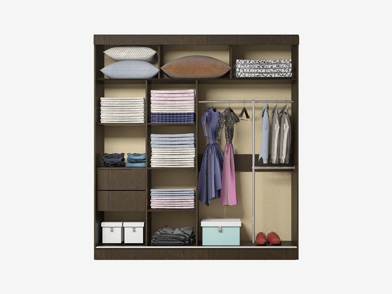 Шкаф-купе  Лотос-1