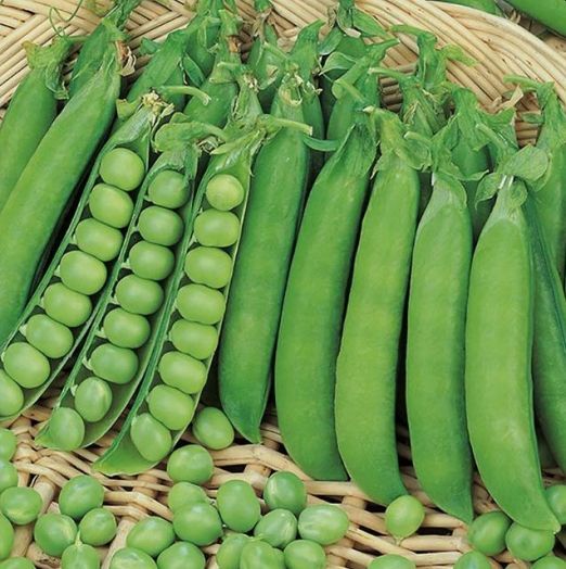 Горох Премиум, 25г семян