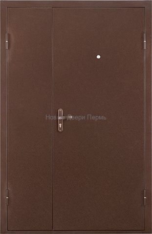 Тамбурная металлическая дверь ПРОФИ DL  1250х2050 мм металл/металл