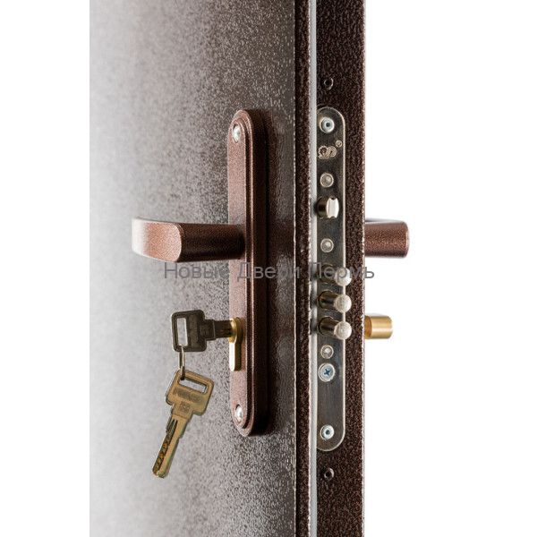 Тамбурная металлическая дверь ПРОФИ DL  1250х2050 мм металл/металл