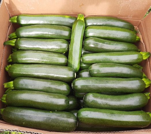 Кабачок Комо F1, 50шт семян