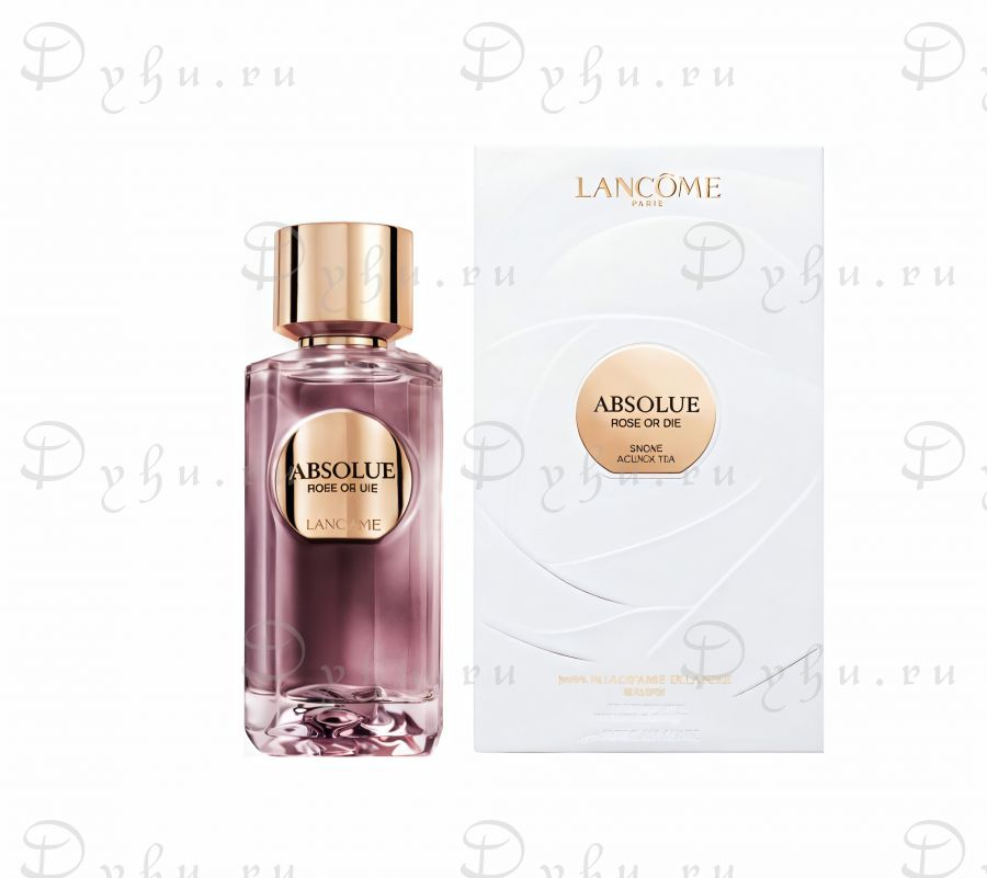Absolue Rose Or Die