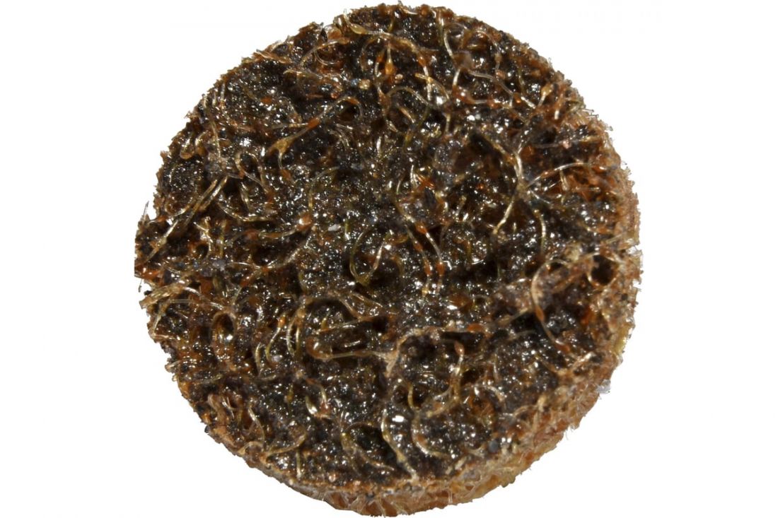 Abraform Шлифовальный круг DIABLO R-TYPE SCB COARSE D20mm