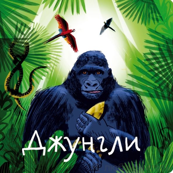 Джунгли