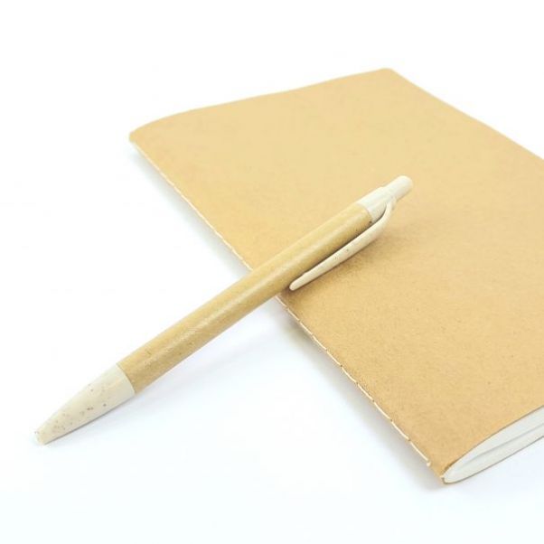 Эко ручки FILAX