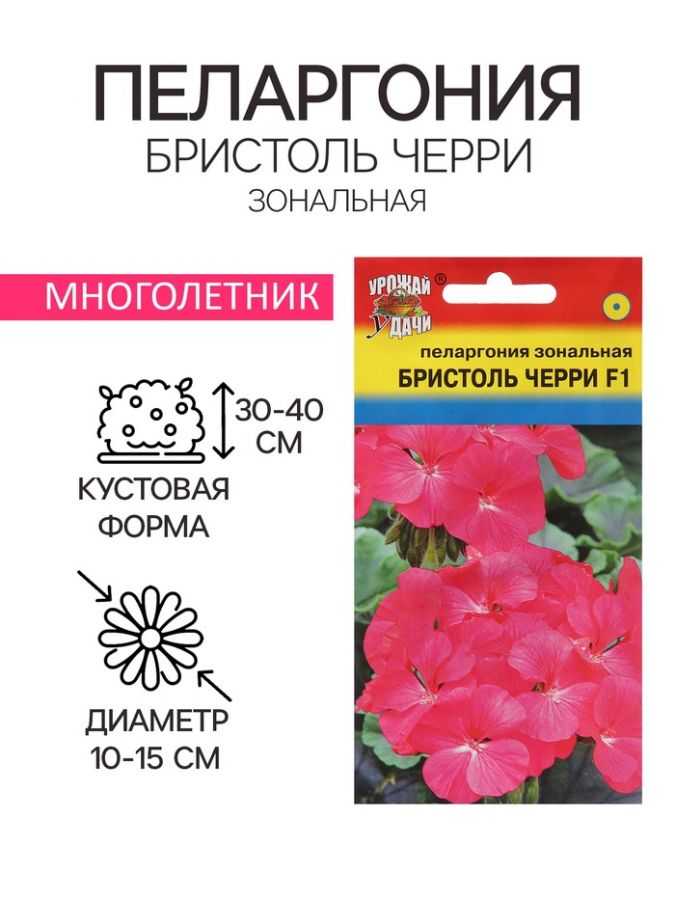 Семена цветов Пеларгония "БРИСТОЛЬ ЧЕРРИ", F1, 5,6 шт