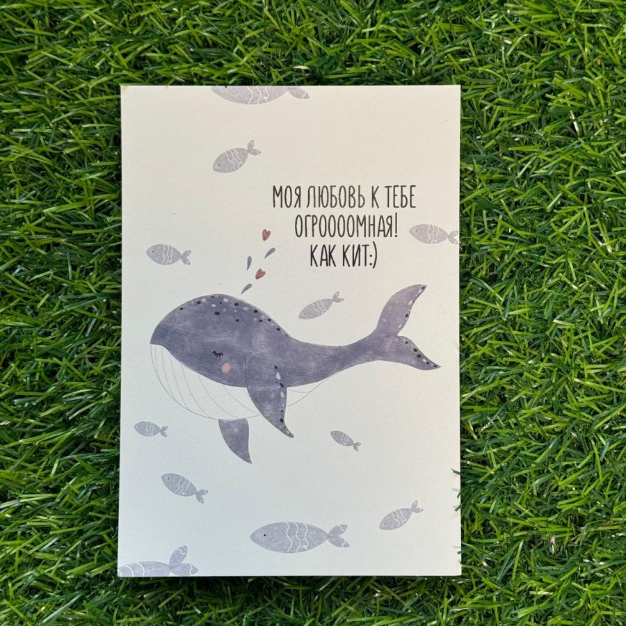 Открытка Кит