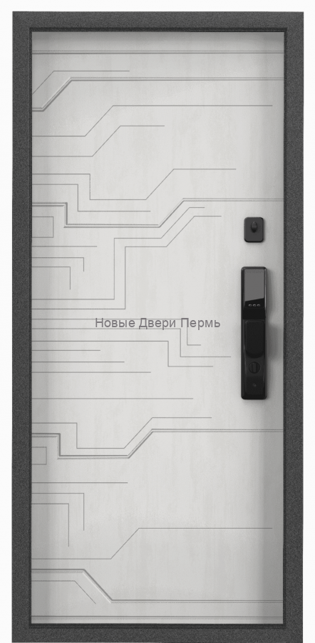 Входная дверь Cyber Pro PP ПВХ Черная шагрень CBR-25/ПВХ Бетон известковый CBR-25 черный