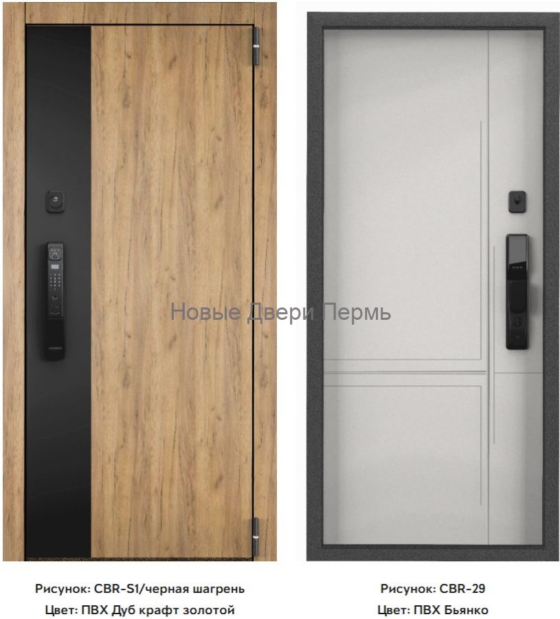 Входная дверь Cyber Pro PP CBR-S1 ПВХ Дуб Янтарь/ ПВХ Бьянко черный