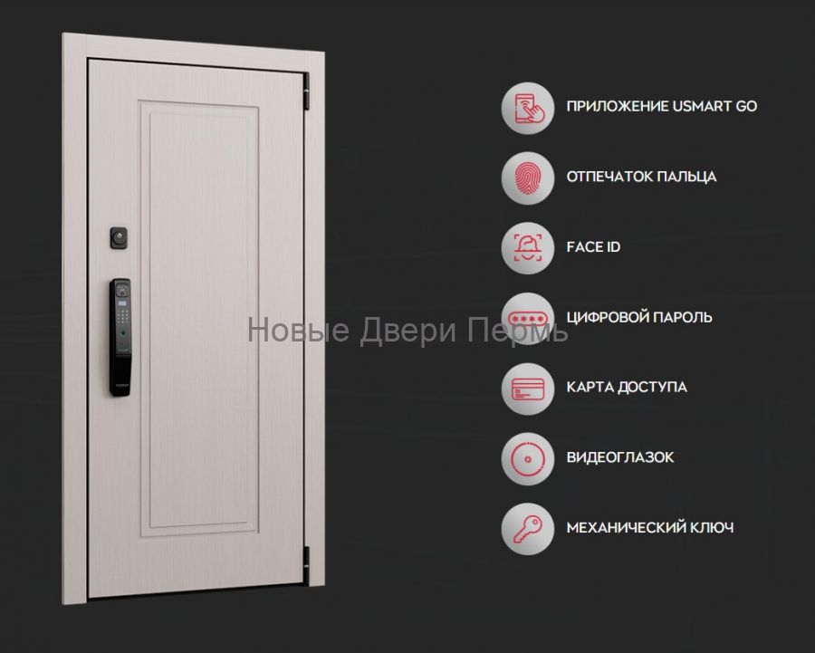 Входная дверь Cyber Pro PP CBR-S1 ПВХ / ПВХ CBR-S1 смарт замок