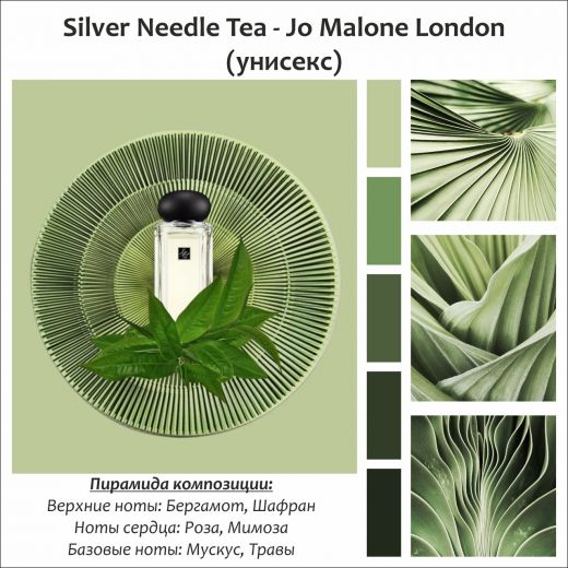 ~Silver Needle Tea  (u) ~