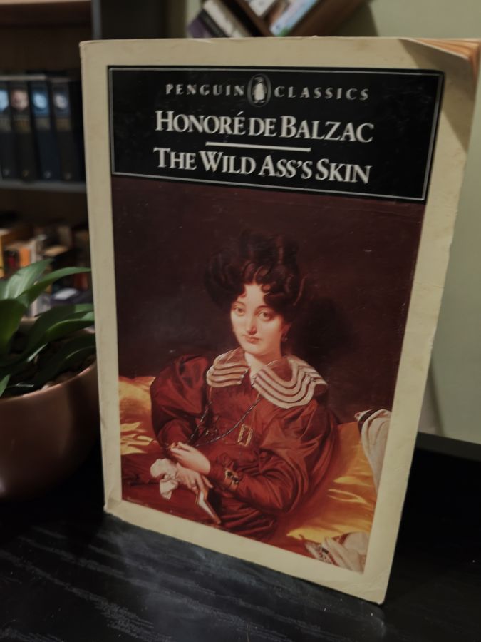 The wild ass's skin by Honore de Balzac