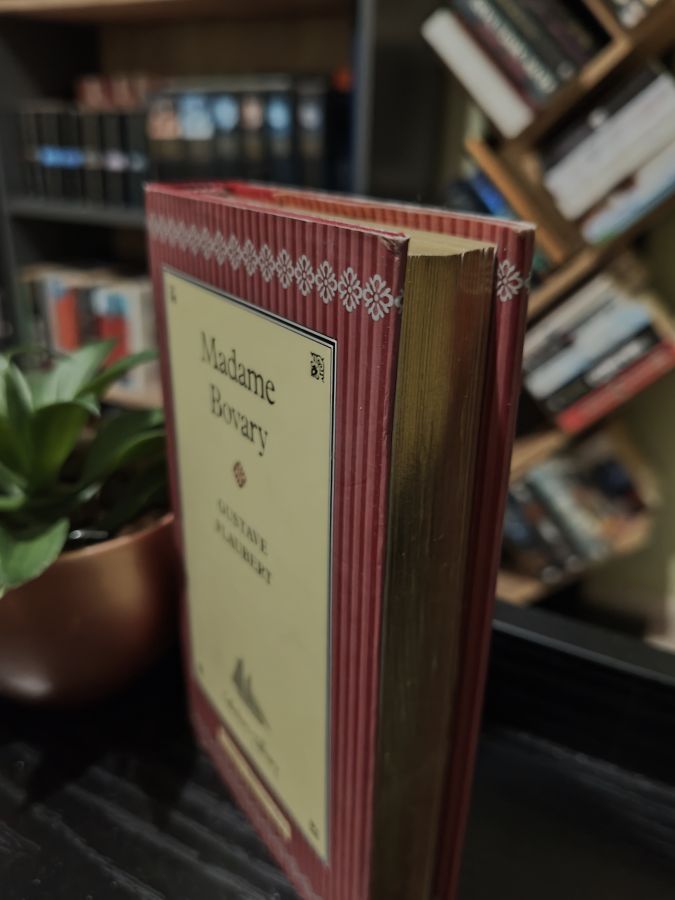 Madame Bovary by Gustave Flaubert