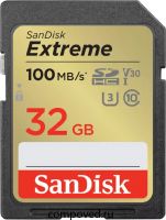 Карта памяти 32Gb SD SanDisk Extreme (SDSDXVT-032G-GNCIN)
