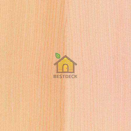 RoHol Панель Sauna-Ply 16 мм Клен Сикоморе