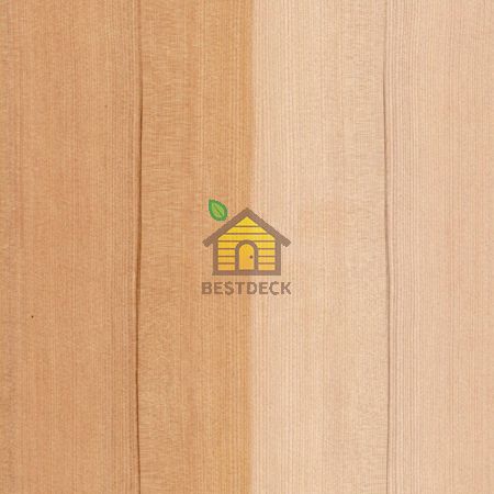 RoHol Панель Sauna-Ply 16 мм Канадская ель (Хемлок)