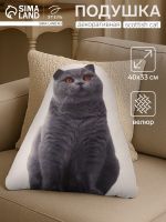 Подушка «Этель» Scottish cat, 40?33 см, 100% п/э, велюр