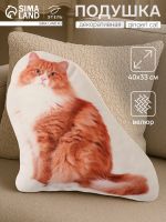 Подушка «Этель» Gingerl cat, 40?33 см, 100% п/э, велюр