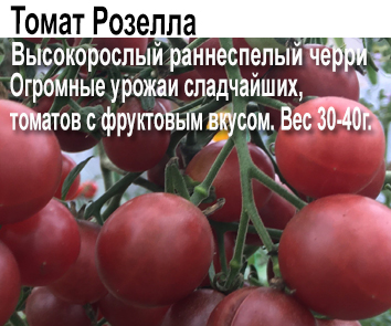 Томат Розелла
