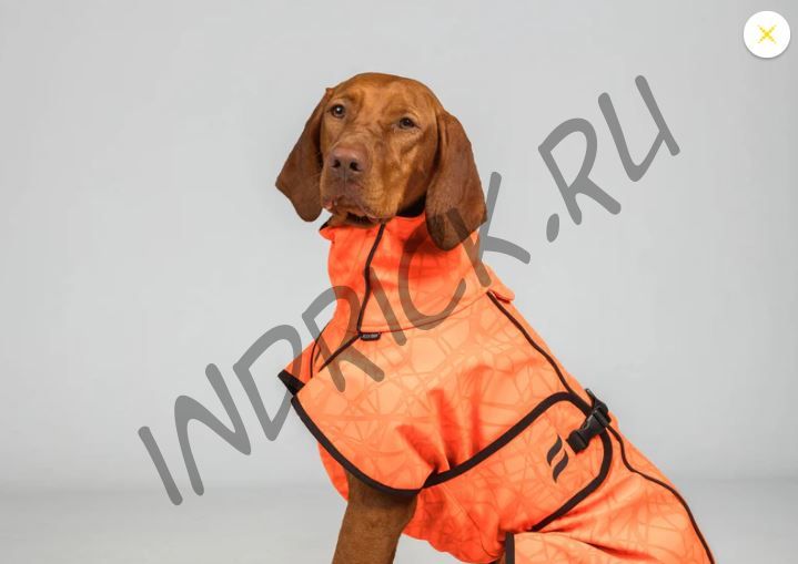 Сигнальный комплект для собаки и хозяина жилет + попона