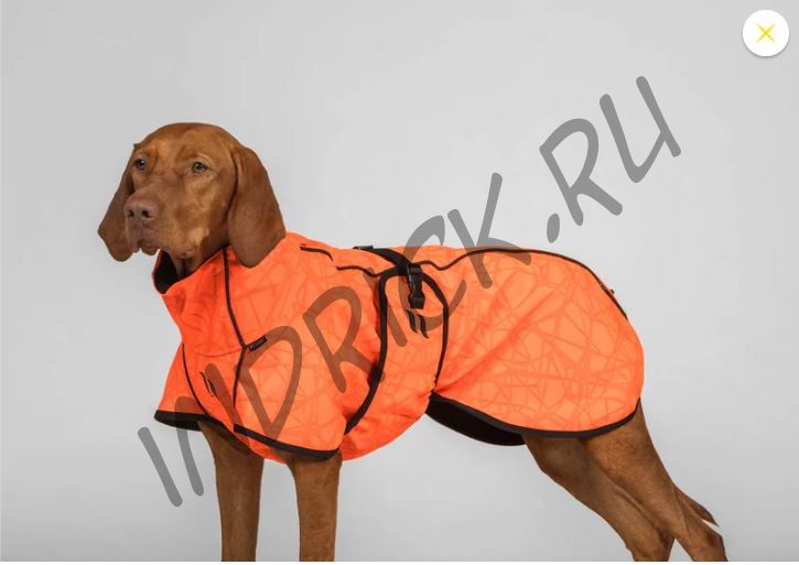 Сигнальный комплект для собаки и хозяина жилет + попона