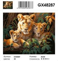 Картина по номерам на подрамнике GX48287