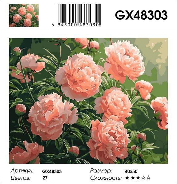 Картина по номерам на подрамнике GX48303