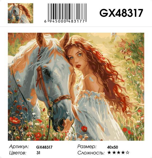Картина по номерам на подрамнике GX48317