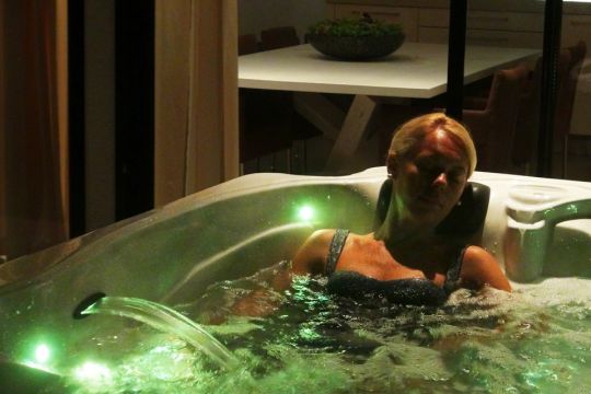 Спа бассейн passion spas signature spa desire схема 4