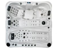 Спа бассейн passion spas signature spa euphoria схема 1