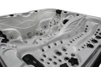 Спа бассейн passion spas signature spa euphoria схема 4