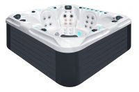 Спа бассейн passion spas exclusive spa excite схема 2