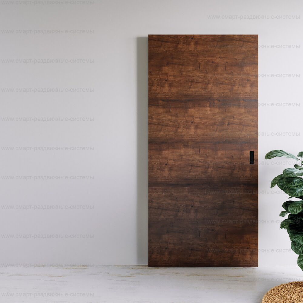 Раздвижная дверь по стене на скрытой направляющей Terno Scorrevoli Magic-2