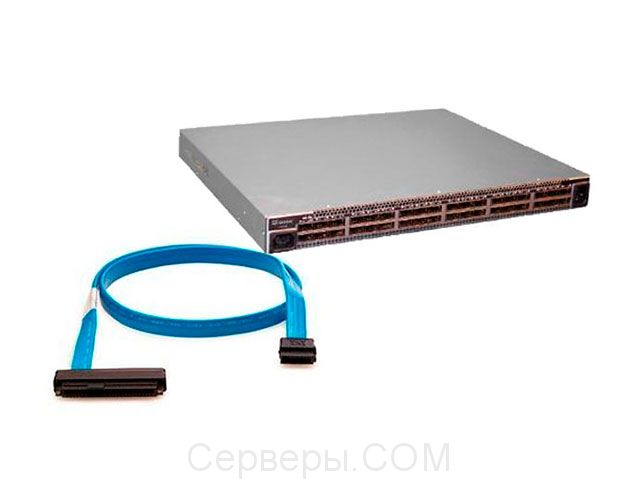 Коммутатор или опция HP InfiniBand 589478-B21